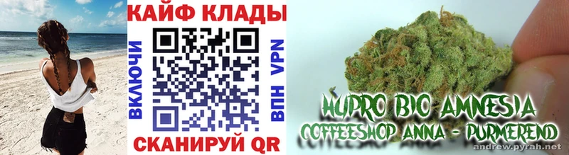 Виды наркотиков купить Самара Героин A PVP Галлюциногенные грибы ГАШИШ КОКАИН