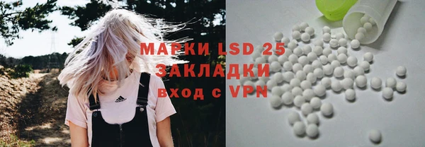 ГАЛЛЮЦИНОГЕННЫЕ ГРИБЫ Алексин