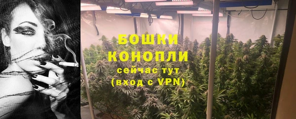 дурь Нея