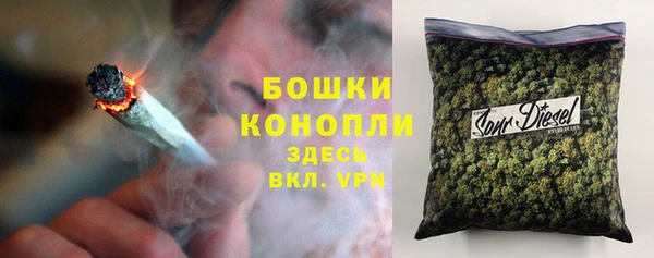 дурь Нея